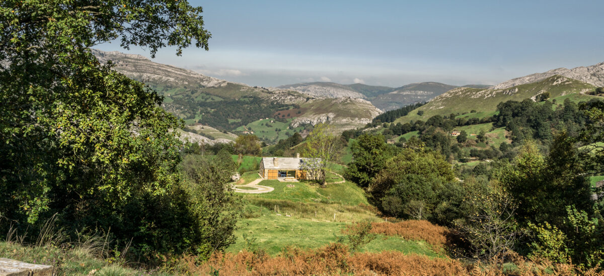 A WHOLE LAND FOR YOU