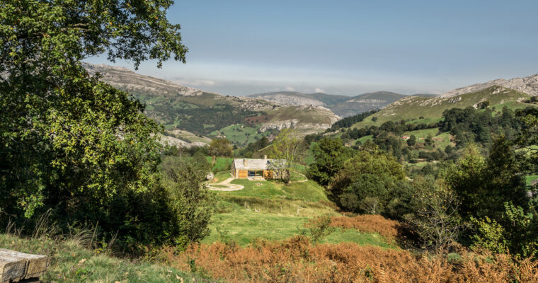 A WHOLE LAND FOR YOU